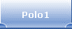 Polo1